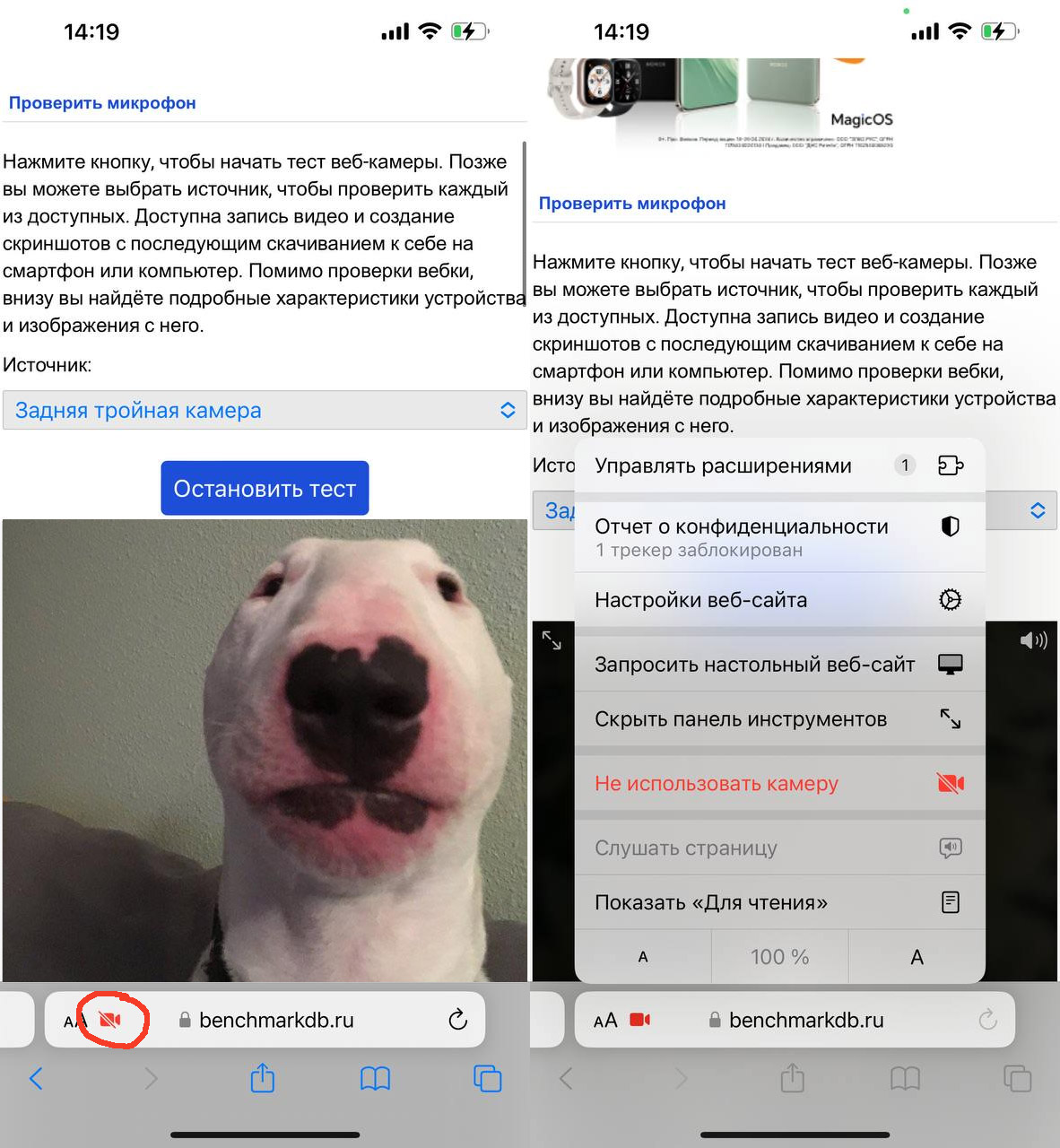 Тест веб-камеры. Проверка веб-камеры онлайн на ноутбуке